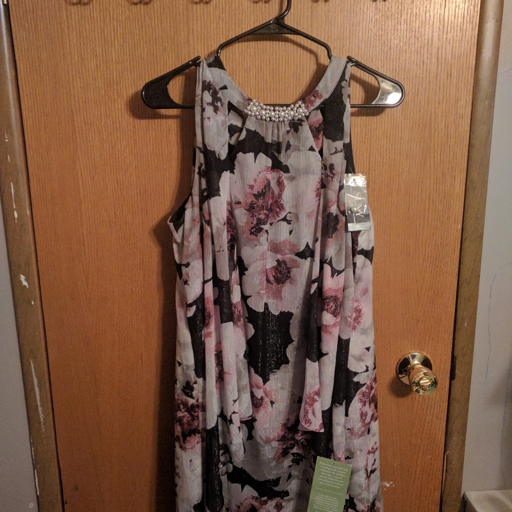 SLNY dress